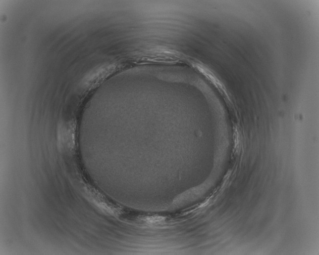 X0000085260501200703091327