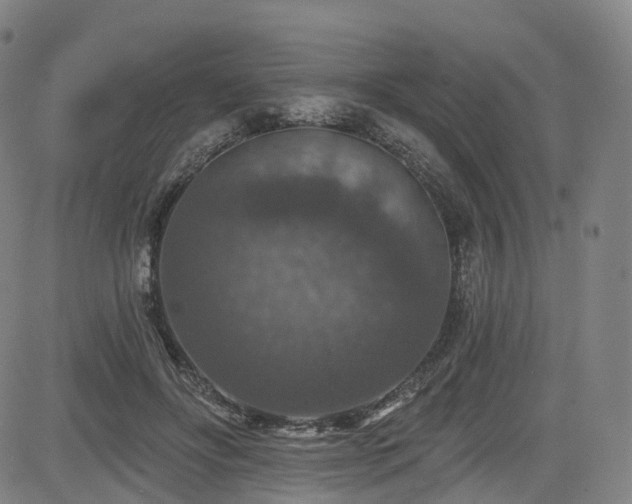 X0000085260502200703091327