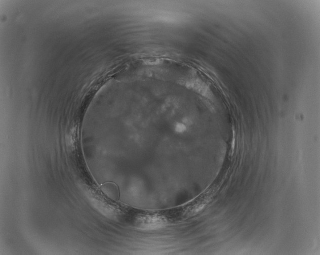 X0000085260503200703091327