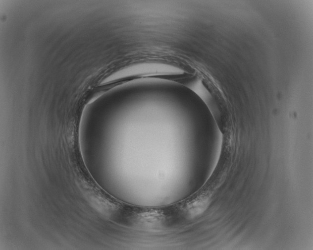 X0000085260505200703091327