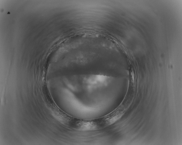 X0000085260507200703091327