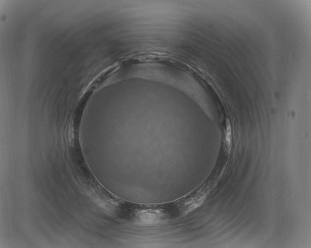 X0000085260508200703091327