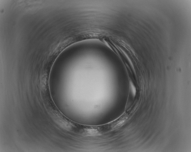 X0000085260509200703091327