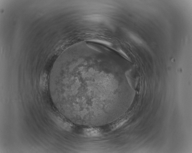 X0000085260511200703091327