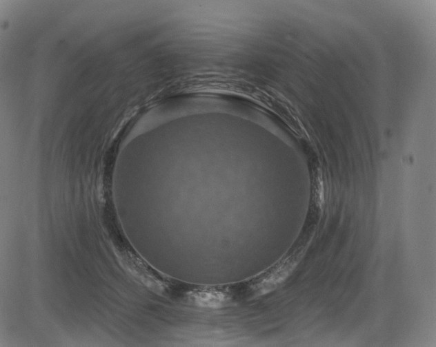 X0000085260512200703091327