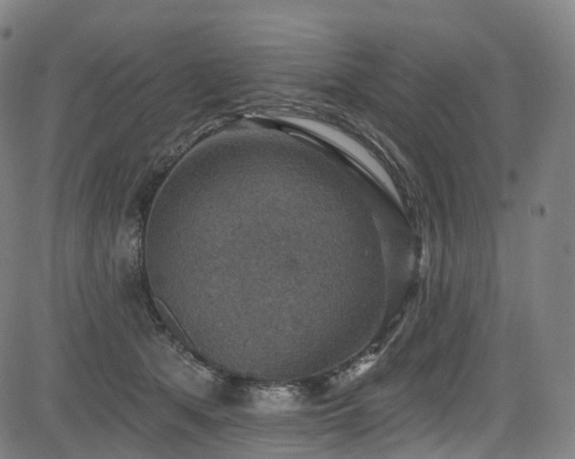 X0000085260513200703091327