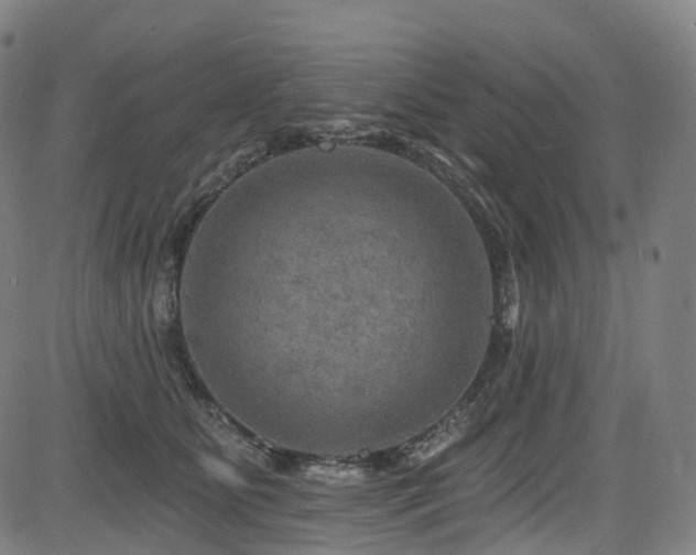 X0000085260515200703091327