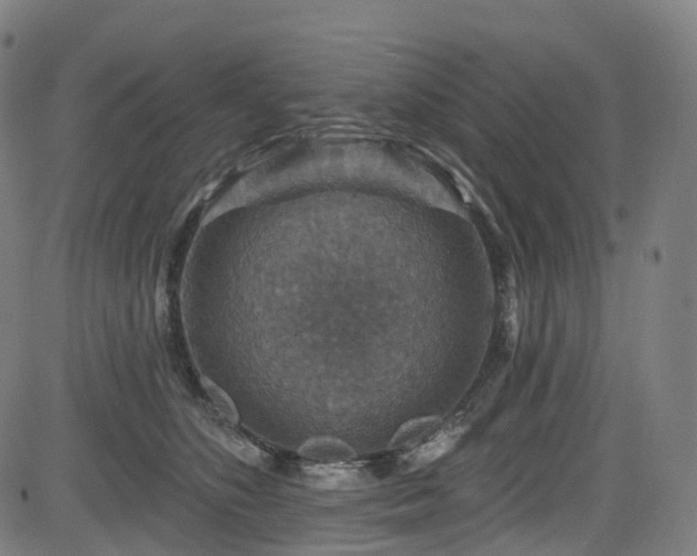 X0000085260516200703091327