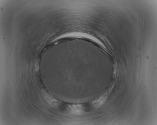 X0000085260517200703091327