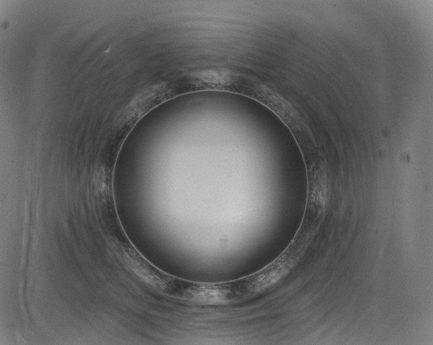 X0000085260518200703091327