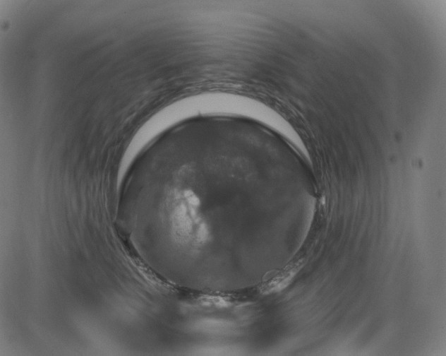 X0000085260519200703091327