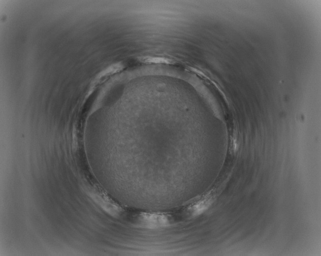 X0000085260520200703091327