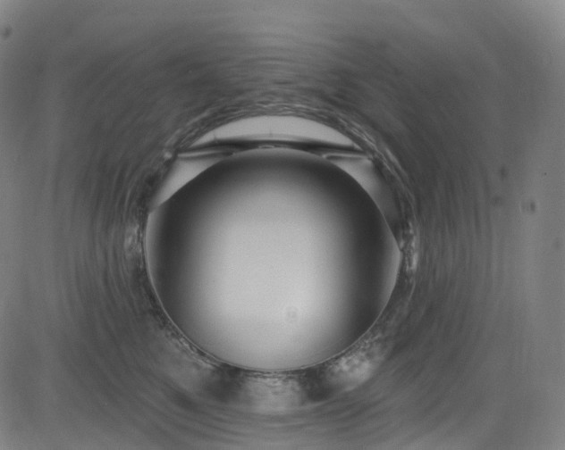 X0000085260521200703091327