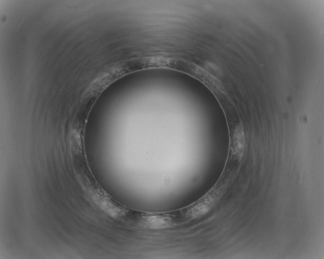 X0000085260522200703091327