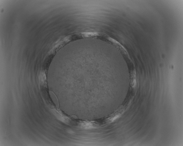 X0000085260523200703091327