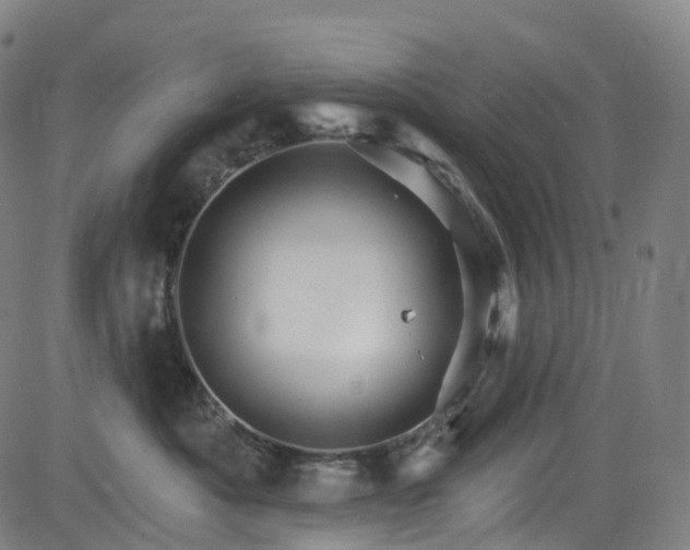 X0000085260525200703091327