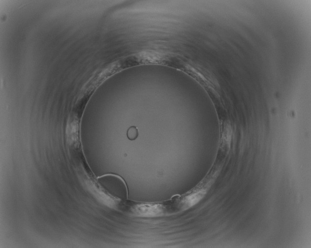 X0000085260526200703091327