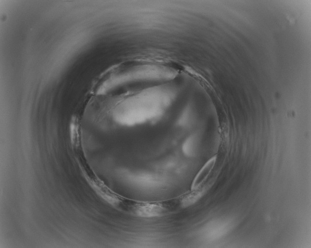 X0000085260527200703091327