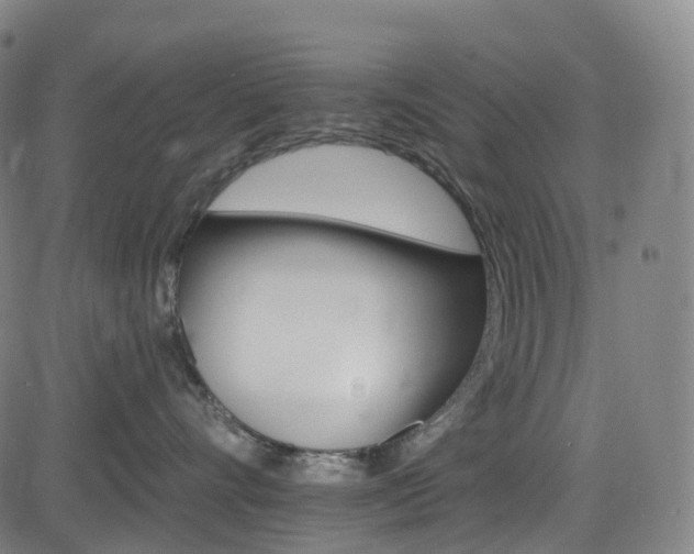 X0000085260528200703091327