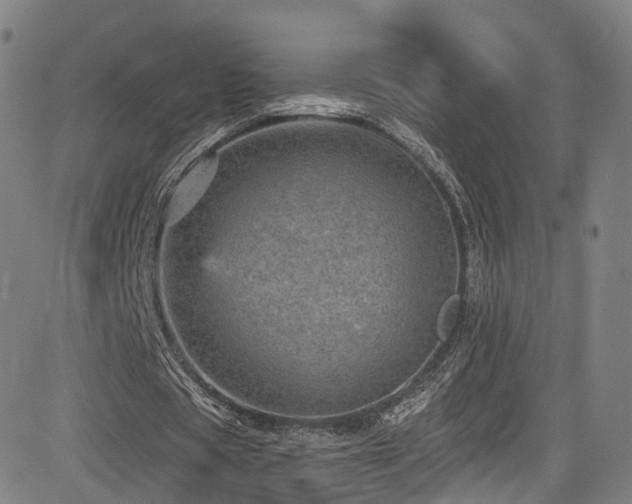 X0000085260529200703091326