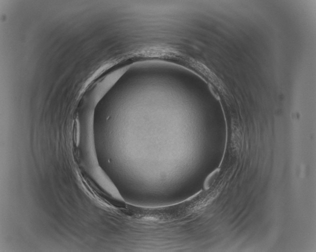 X0000085260530200703091326