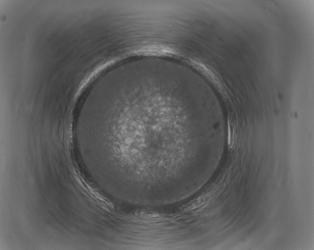 X0000085260531200703091326