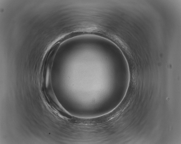 X0000085260532200703091326