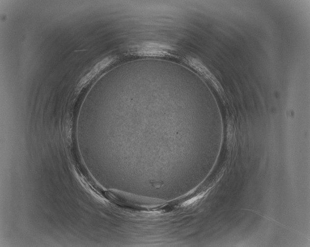 X0000085260533200703091326