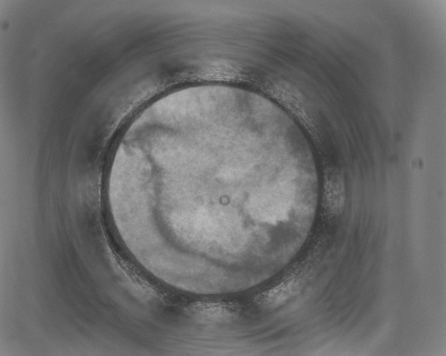 X0000085260534200703091326