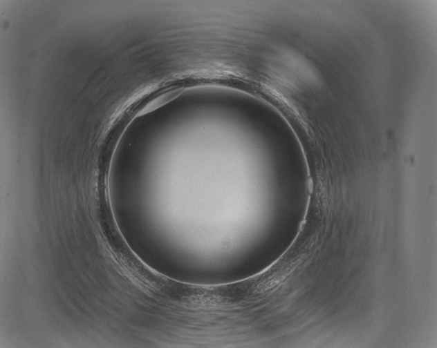 X0000085260535200703091326