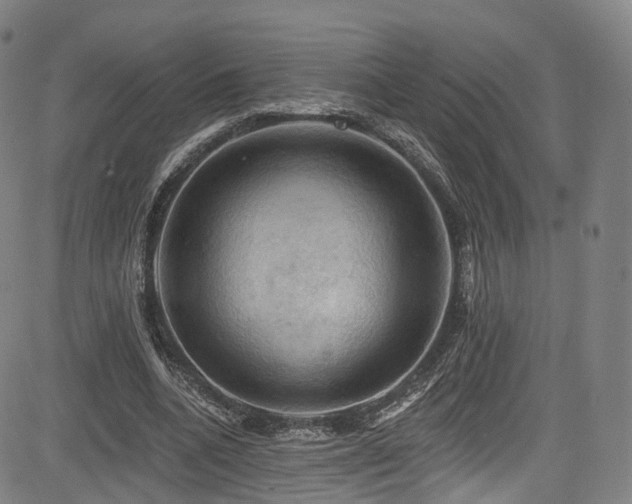 X0000085260536200703091326