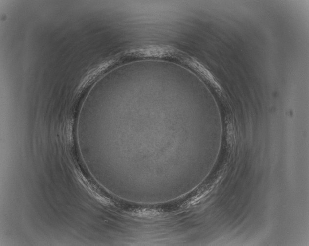 X0000085260537200703091326