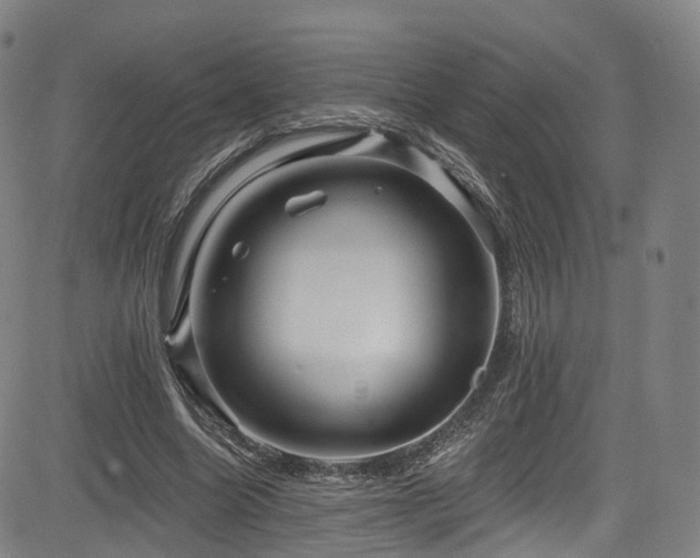 X0000085260538200703091326