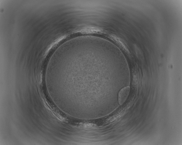 X0000085260539200703091326