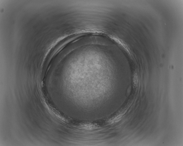 X0000085260540200703091326