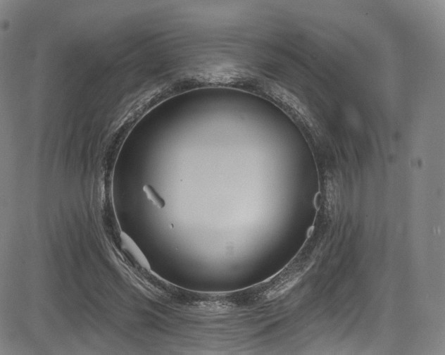 X0000085260541200703091326