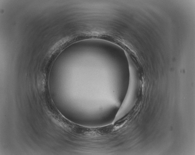 X0000085260544200703091326