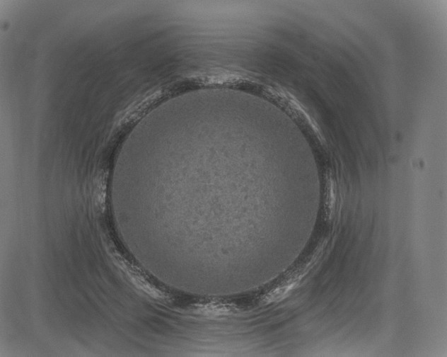 X0000085260545200703091326