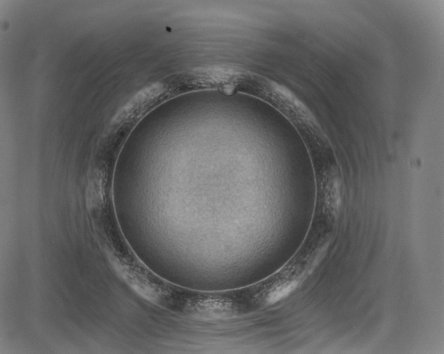 X0000085260546200703091326