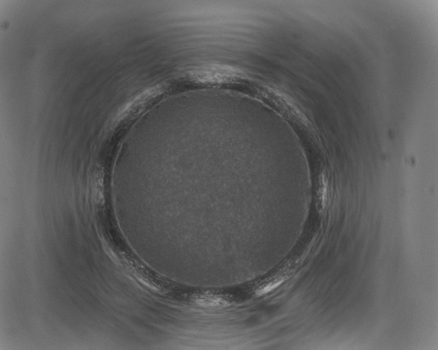 X0000085260547200703091326