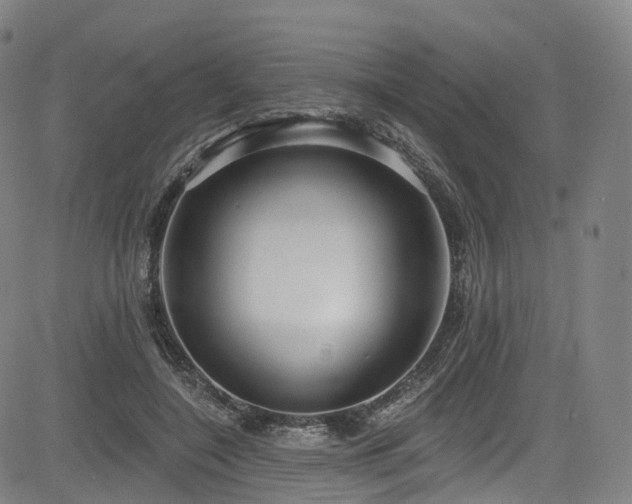 X0000085260548200703091326