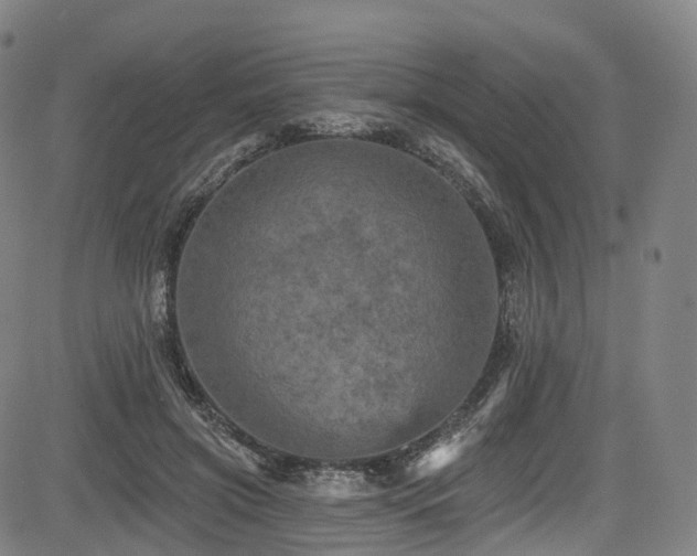 X0000085260549200703091326