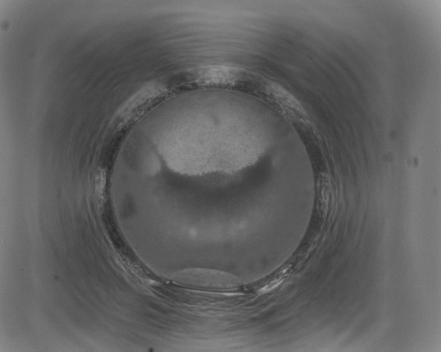 X0000085260550200703091326