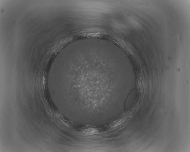 X0000085260551200703091326