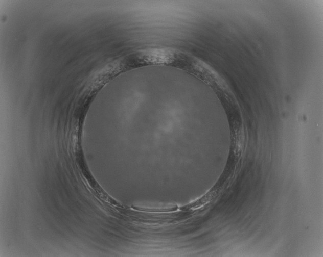 X0000085260553200703091326