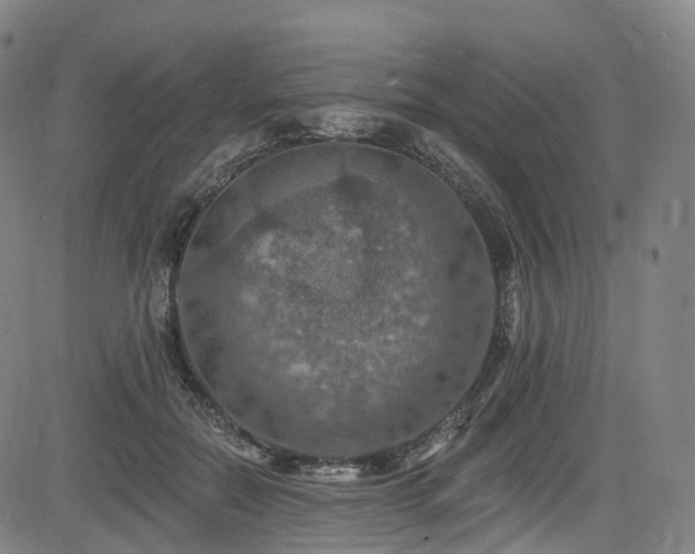 X0000085260554200703091326