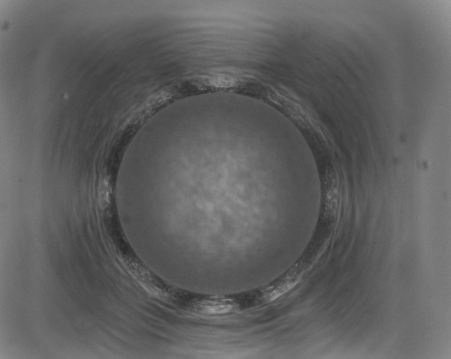 X0000085260555200703091326