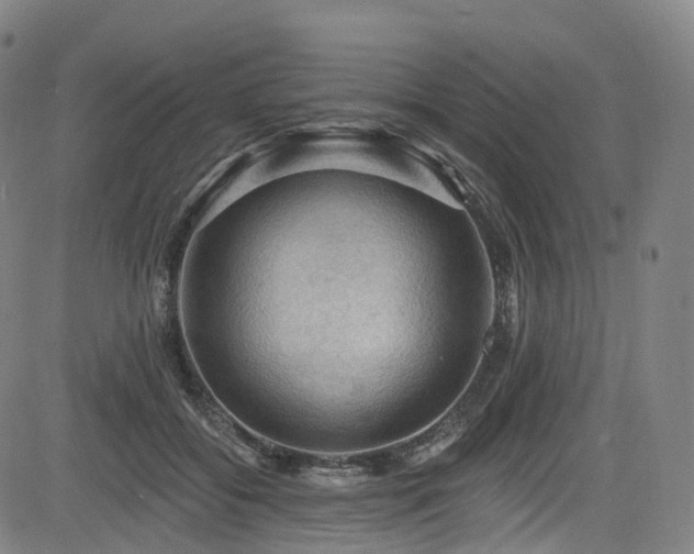 X0000085260556200703091326