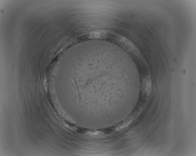 X0000085260557200703091326