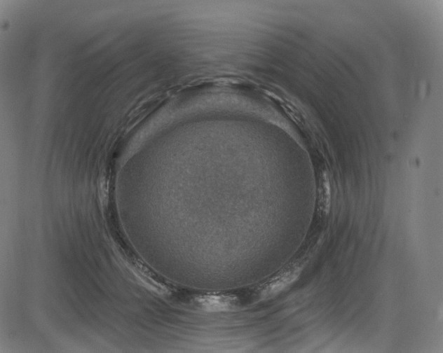 X0000085260558200703091326